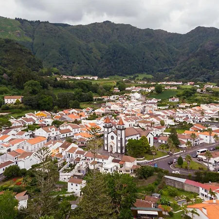 Hortensia Daire Furnas (Azores)