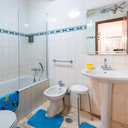 Hortensia Daire Furnas (Azores)