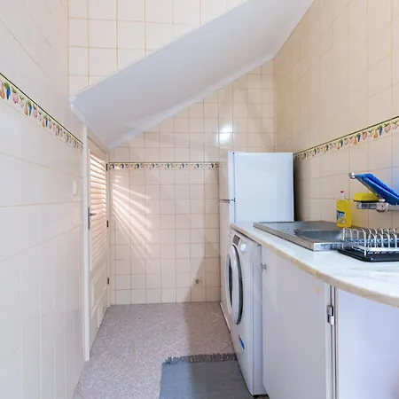 Hortensia Furnas (Azores)