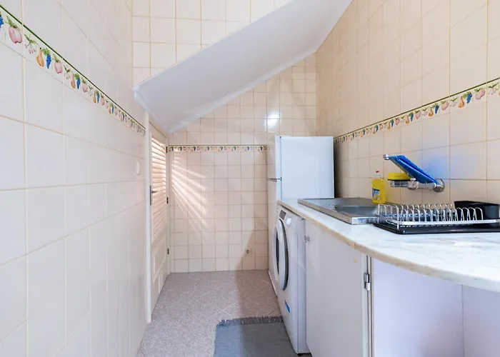 Hortensia 富尔纳斯