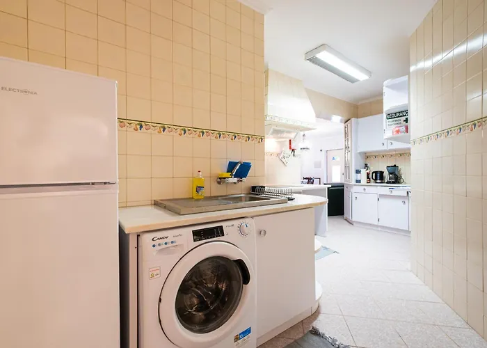 Hortensia 富尔纳斯